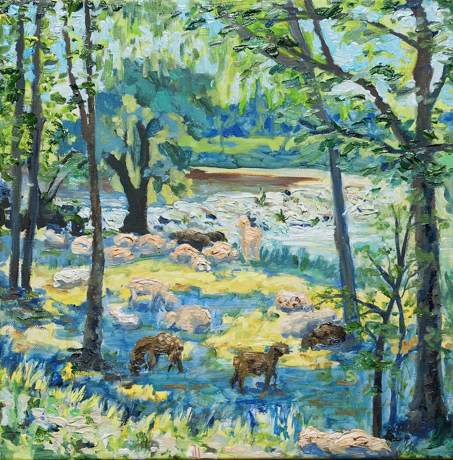 Image of Schafe grasen in der Nähe der Donaustromschnellen by Karina Semenyuk, size: 40 x 40, made of Oil on canvas, Paintings medium, from Riedlingen, Germany, part of the Summer 2025 series, priced at €300